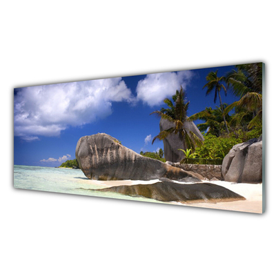 Glasbillede Rocks Beach Landscape