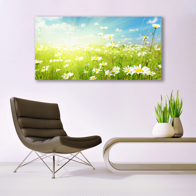 Billede i glas Meadow Daisy Nature