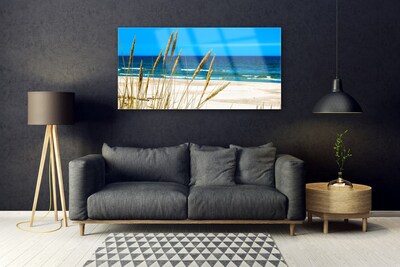 Print på glas Ocean Landscape Beach