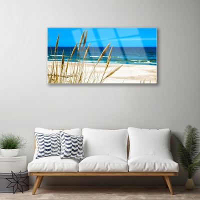 Print på glas Ocean Landscape Beach