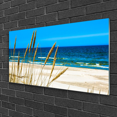 Print på glas Ocean Landscape Beach