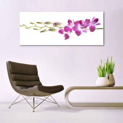 Glas billede Blomster Plante Natur