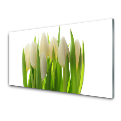 Glasbillede Tulipaner Plante Natur