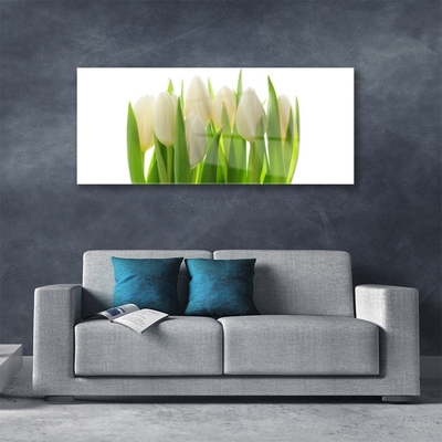 Glasbillede Tulipaner Plante Natur