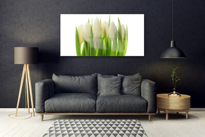 Glasbillede Tulipaner Plante Natur