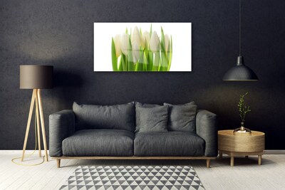 Glasbillede Tulipaner Plante Natur