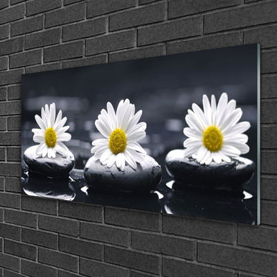 Glas billede Daisy Stones Plant