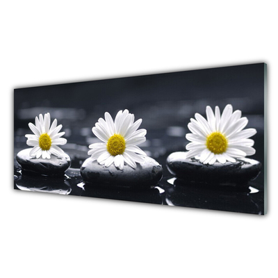 Glas billede Daisy Stones Plant