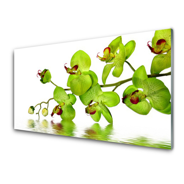 Glas billede Blomster Plante Natur