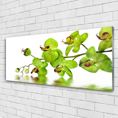 Glas billede Blomster Plante Natur