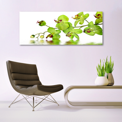 Glas billede Blomster Plante Natur