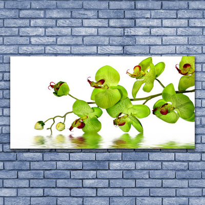 Glas billede Blomster Plante Natur