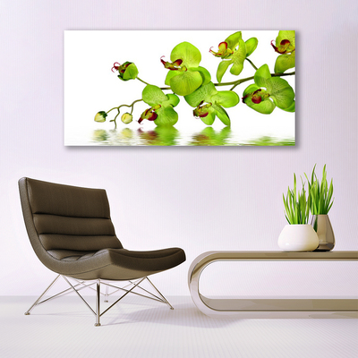 Glas billede Blomster Plante Natur