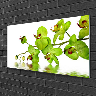 Glas billede Blomster Plante Natur