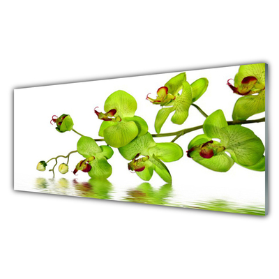 Glas billede Blomster Plante Natur