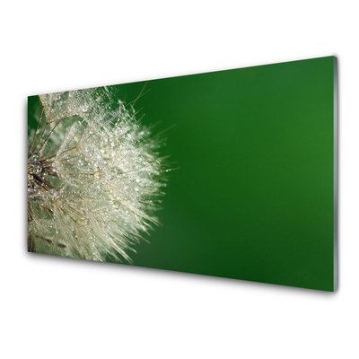 Billede i glas Dandelion Plant