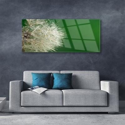 Billede i glas Dandelion Plant