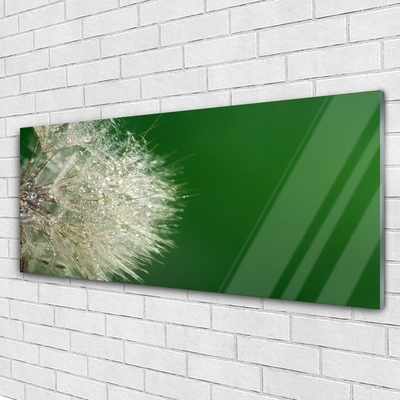 Billede i glas Dandelion Plant