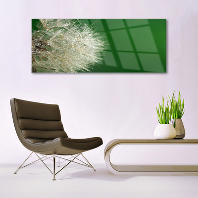 Billede i glas Dandelion Plant