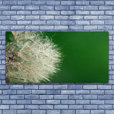 Billede i glas Dandelion Plant