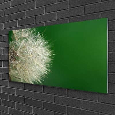 Billede i glas Dandelion Plant