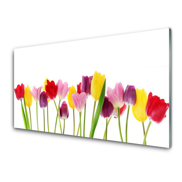 Print på glas Tulipaner Blomster Plante