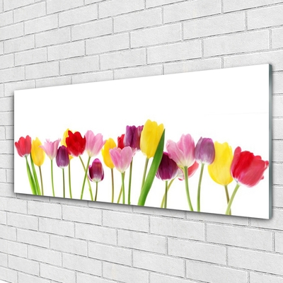 Print på glas Tulipaner Blomster Plante