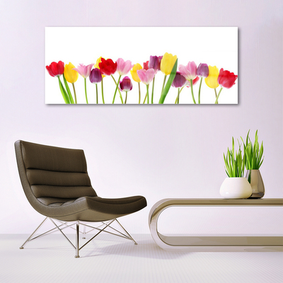 Print på glas Tulipaner Blomster Plante