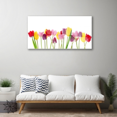 Print på glas Tulipaner Blomster Plante