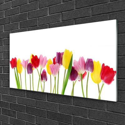 Print på glas Tulipaner Blomster Plante