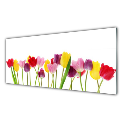 Print på glas Tulipaner Blomster Plante