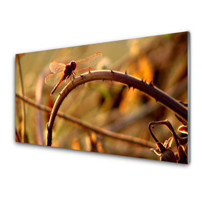 Glas billede Dragonfly Nature Plant