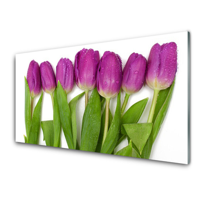 Glas billede Tulipaner Blomster Plante