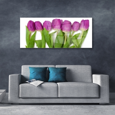 Glas billede Tulipaner Blomster Plante