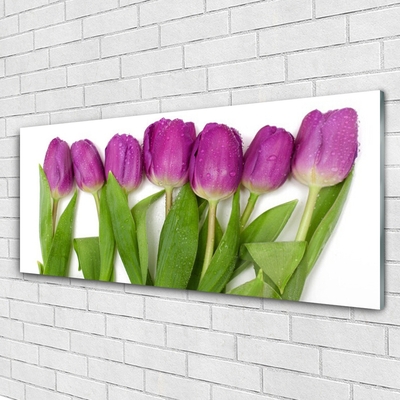 Glas billede Tulipaner Blomster Plante