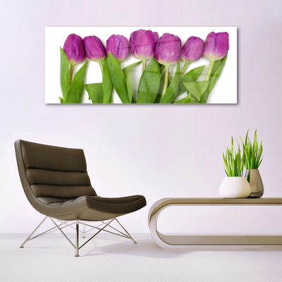 Glas billede Tulipaner Blomster Plante