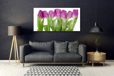 Glas billede Tulipaner Blomster Plante