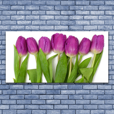 Glas billede Tulipaner Blomster Plante