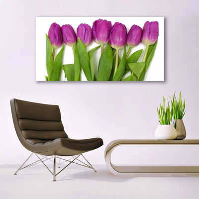 Glas billede Tulipaner Blomster Plante