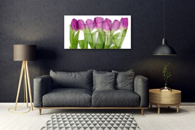 Glas billede Tulipaner Blomster Plante