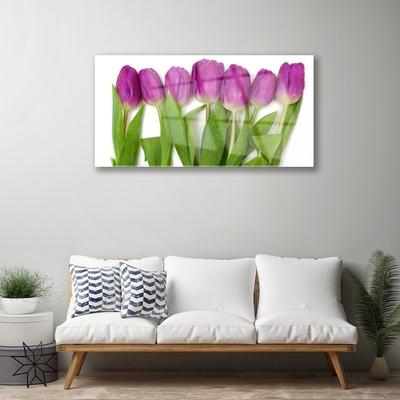 Glas billede Tulipaner Blomster Plante