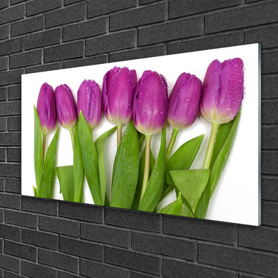 Glas billede Tulipaner Blomster Plante