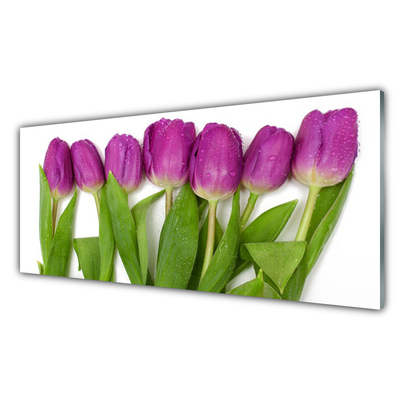 Glas billede Tulipaner Blomster Plante