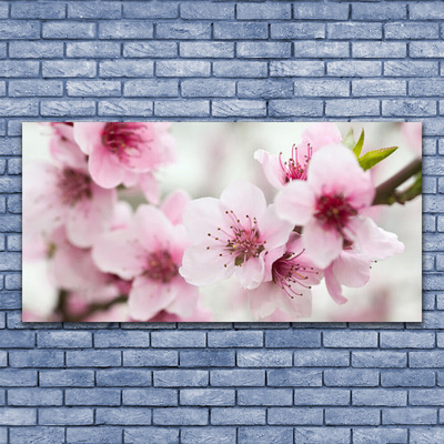 Billede på glas Blomster Planter Natur