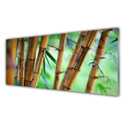 Print på glas Bamboo Nature Plant