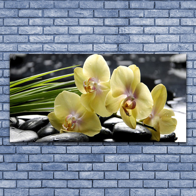 Billede på glas Blomster Plante Natur