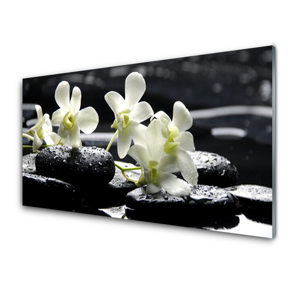 Billede glas Orchid Stones Plant