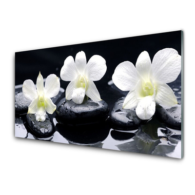 Glasbillede Orchid Stones Plant