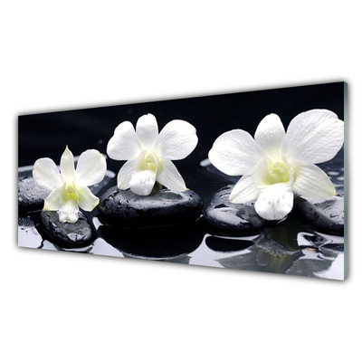 Glasbillede Orchid Stones Plant