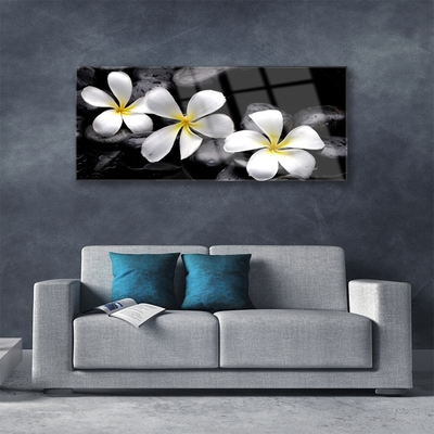 Glas billede Flower Plumeria Plant